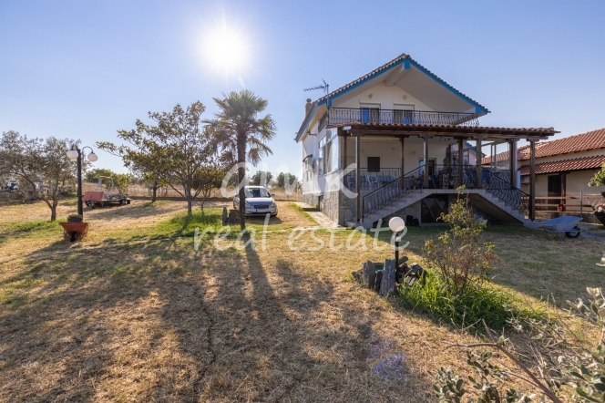 property-img