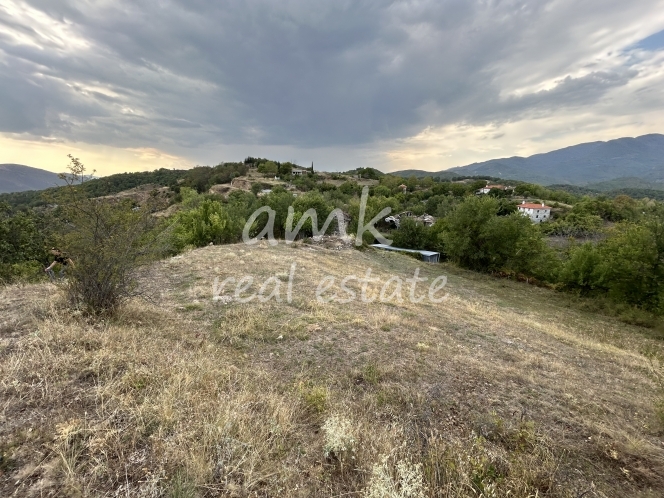 property-img